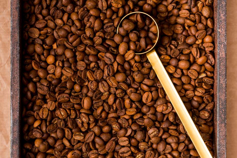 Teknik Sortasi Kopi Basah dengan Bantuan Mesin Berkualitas